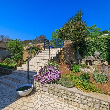 Mare * 노비비노돌스키